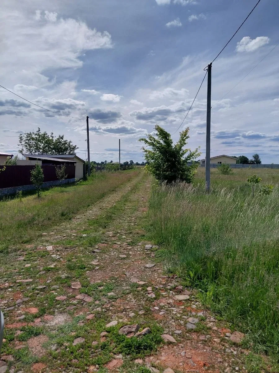 Ділянка 11,8 соток, Затишне: електрика поруч, 25 км від Києва - фото 2
