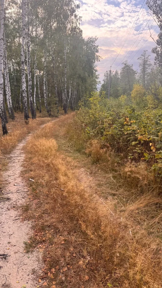 Ділянка 67 соток, Калинівка: біля лісу, до Києва 40 км, фото 2