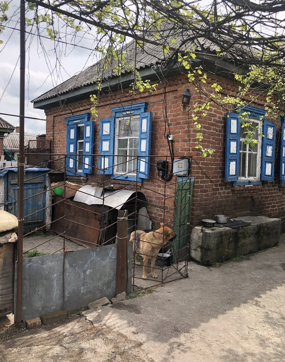 Дом, Белецковка: гараж с подвалом, єОселя, фото 2