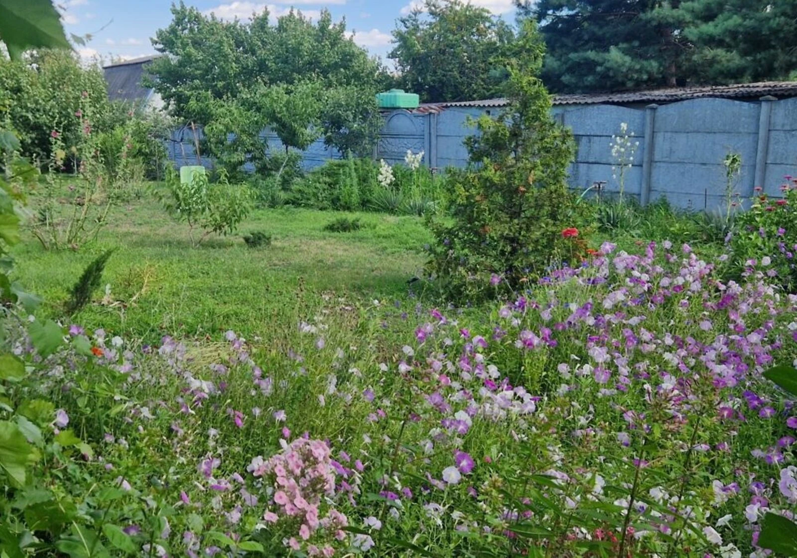 Дача, Миколаївка (Васильківка): гараж, бесідка, балкон - фото 3