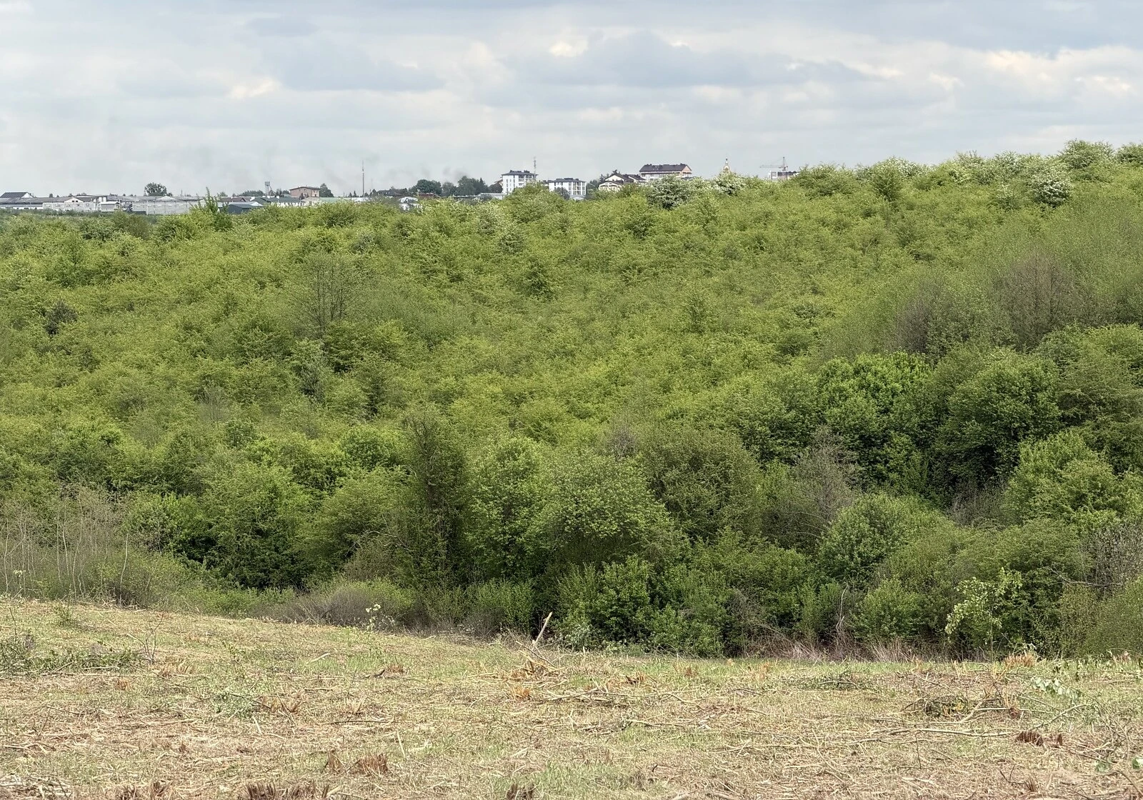 Ділянка 231 сотка, Солонка: сільськогосподарська, під гараж - фото 5