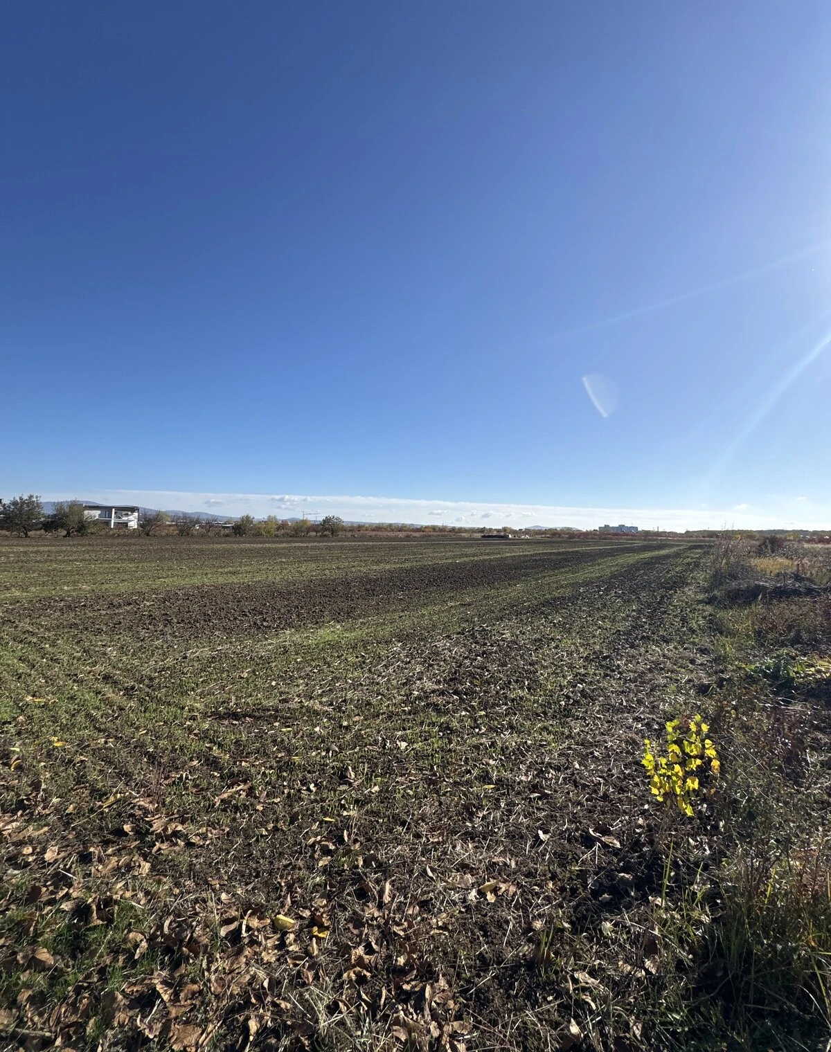 Ділянка 120 соток, Сторожниця: під житлову забудову, фото 5