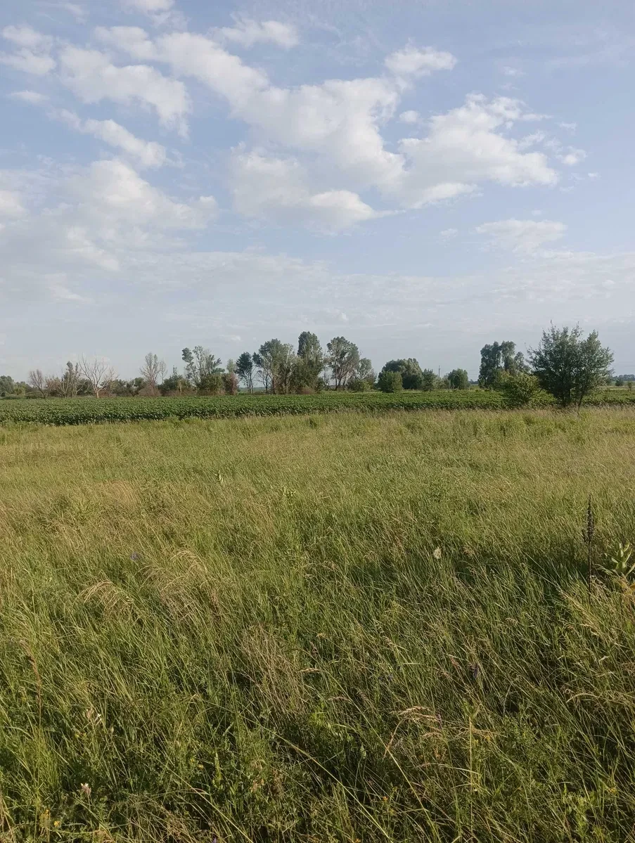 Участок 15 соток, Иванков: под застройку, до 10 км от города, фото 5