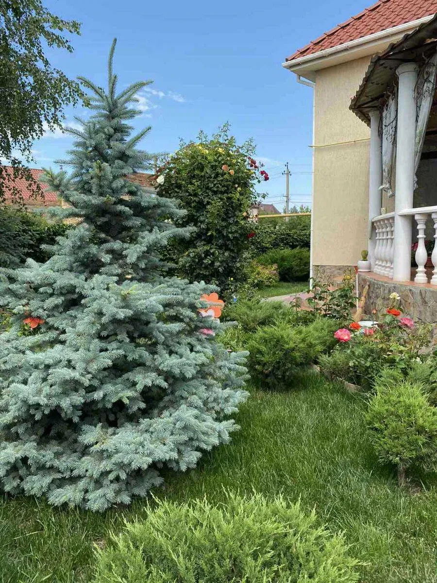 Будинок, Фонтанка: євроремонт, власна котельня, гараж - фото 4
