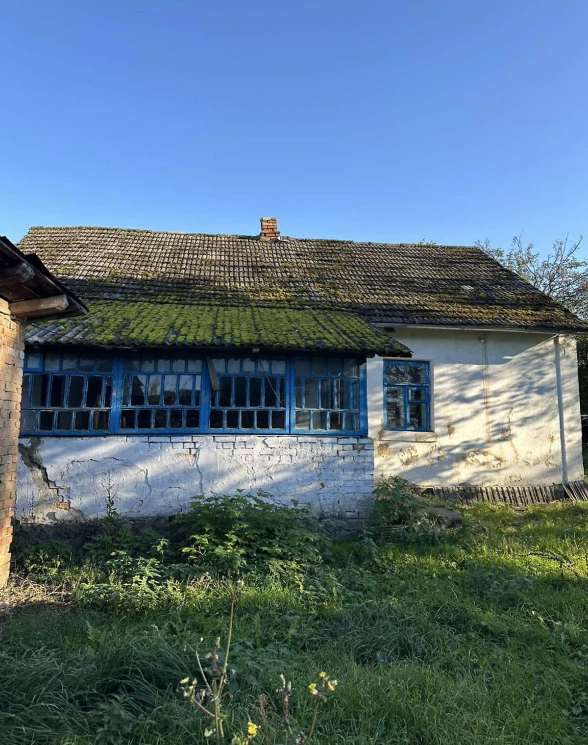 Ділянка 25 соток, Молодаво Третє: під житлову забудову, з будинком - фото 3