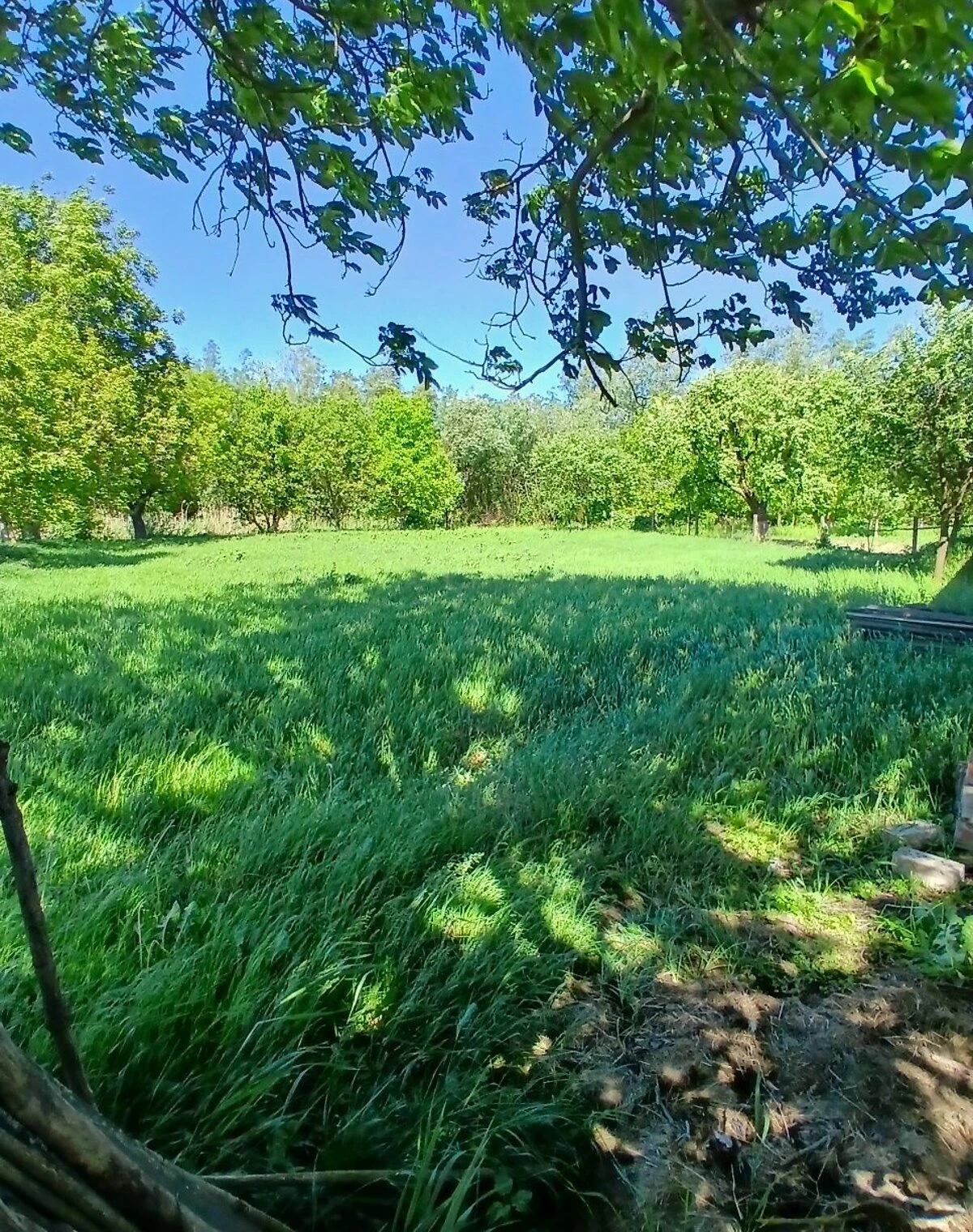 Будинок, Горошівці: цегляні стіни, централізоване опалення - фото 4