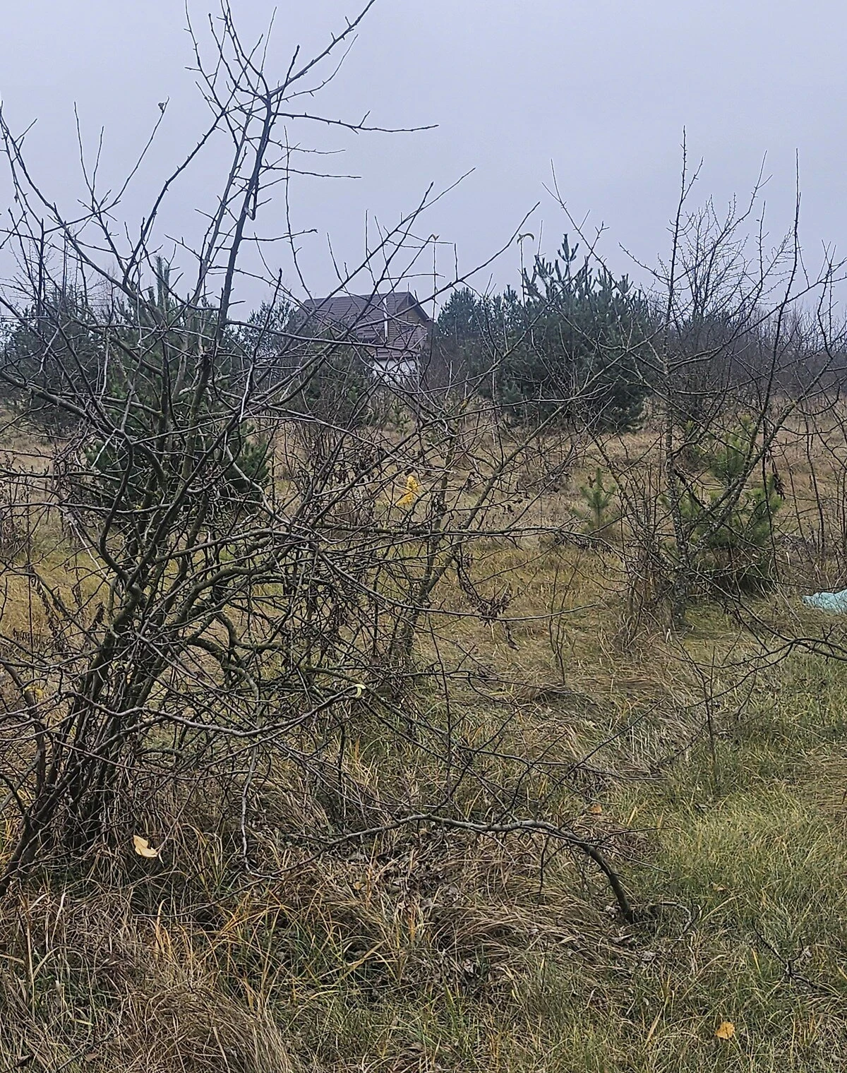 Ділянка, Аеропорт: під будівництво, чорнозем, фото 5