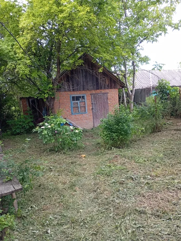 Будинок, Тростянець: 40 соток, криниця, Вороновицьке ОТГ - фото 4