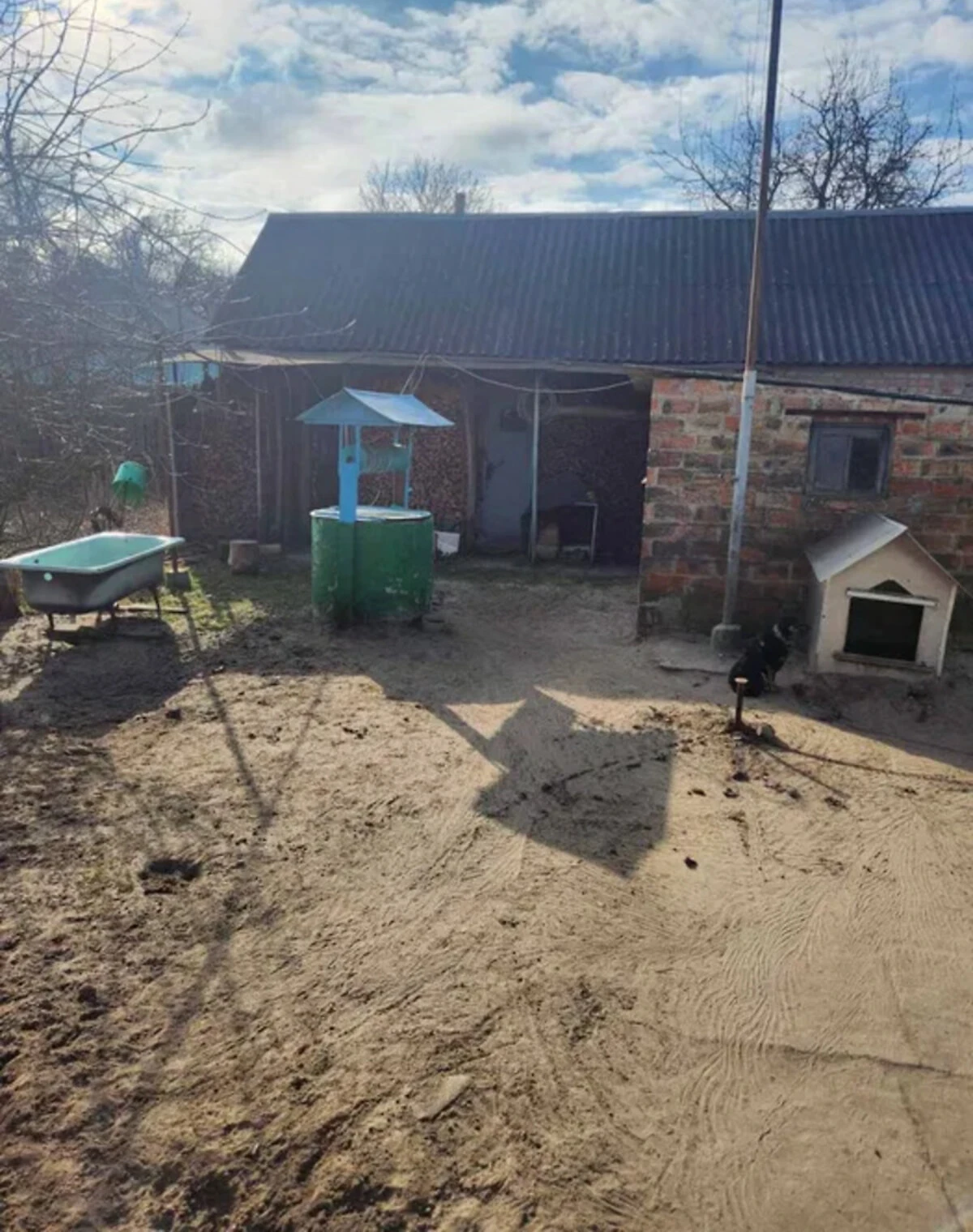 Будинок, Андрушки: гараж, свердловина, господарська будівля - фото 5