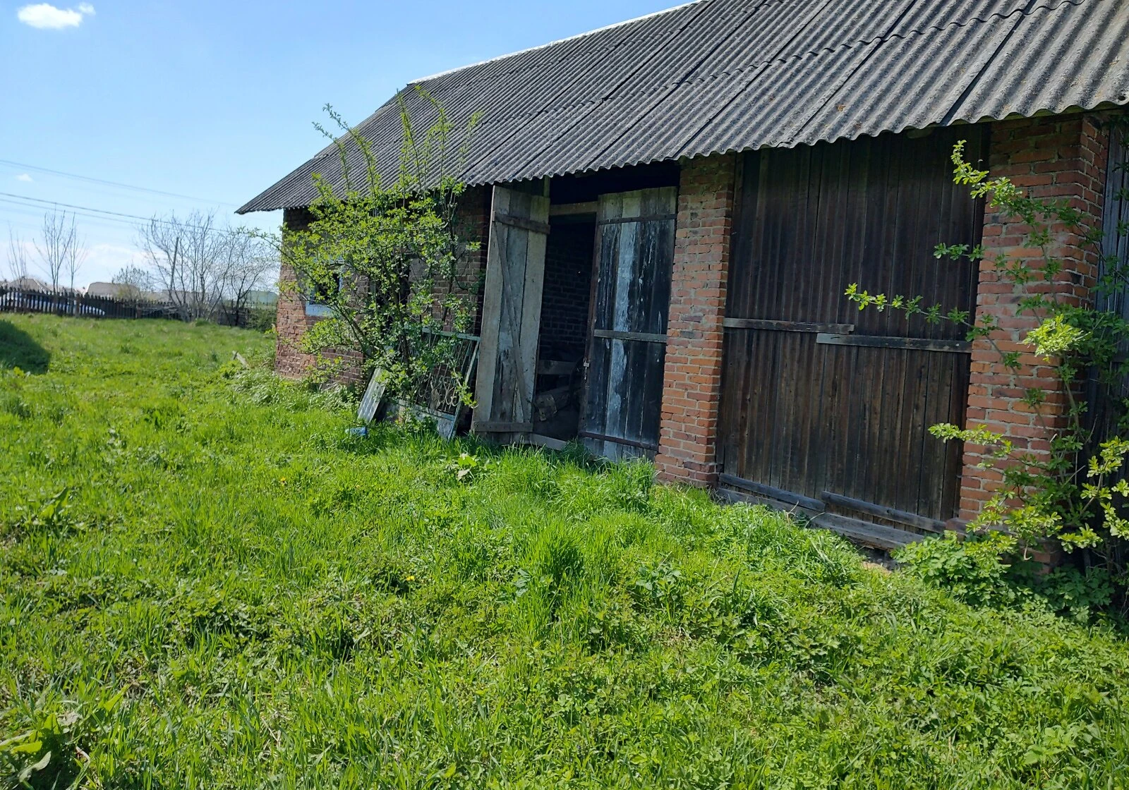 Ділянка 42.77 соток, Ставчани: природне озеро, електрика і газ, фото 4