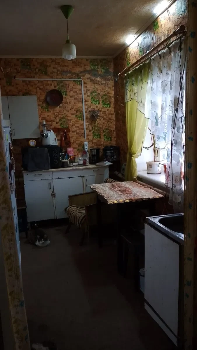 Будинок, Довгинцівський: 10 соток, сад і зона барбекю, фото 4