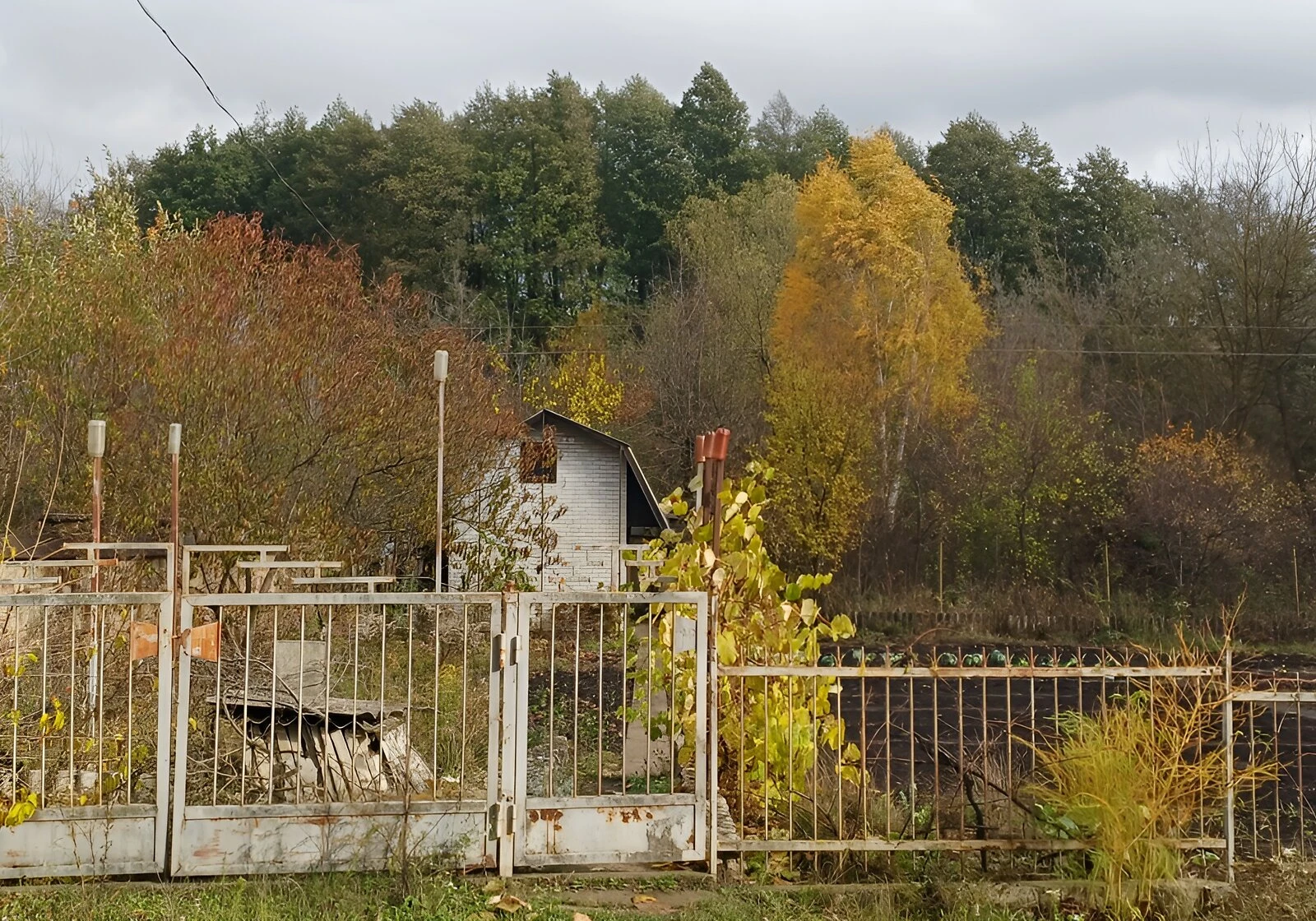 Ділянка 6 соток, Романівка: під житлову забудову, торг можливий - фото 2