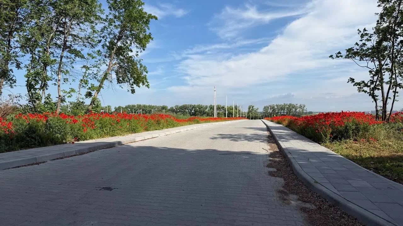 Ділянка 11 соток, Тинне-Вересневе: під будівництво, асфальтований доїзд - фото 2