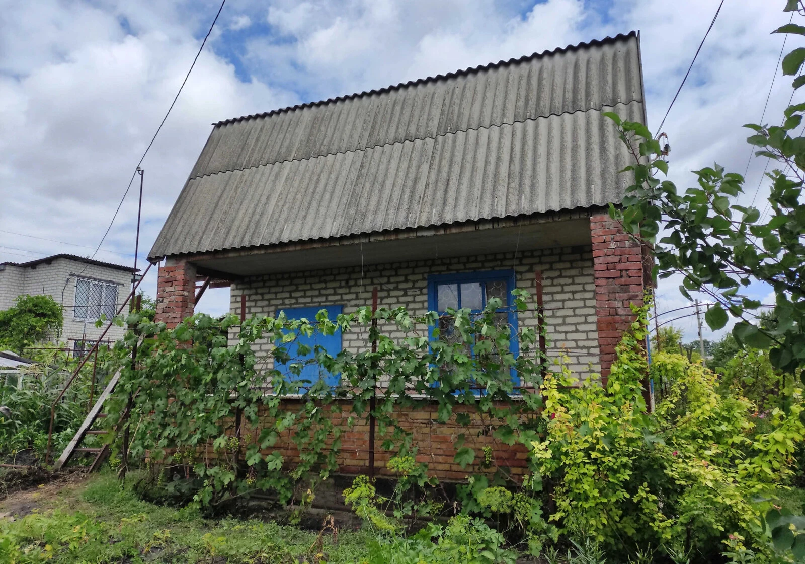 Дача, Мала Кохнівка: цегляні стіни, поливна система - фото 1