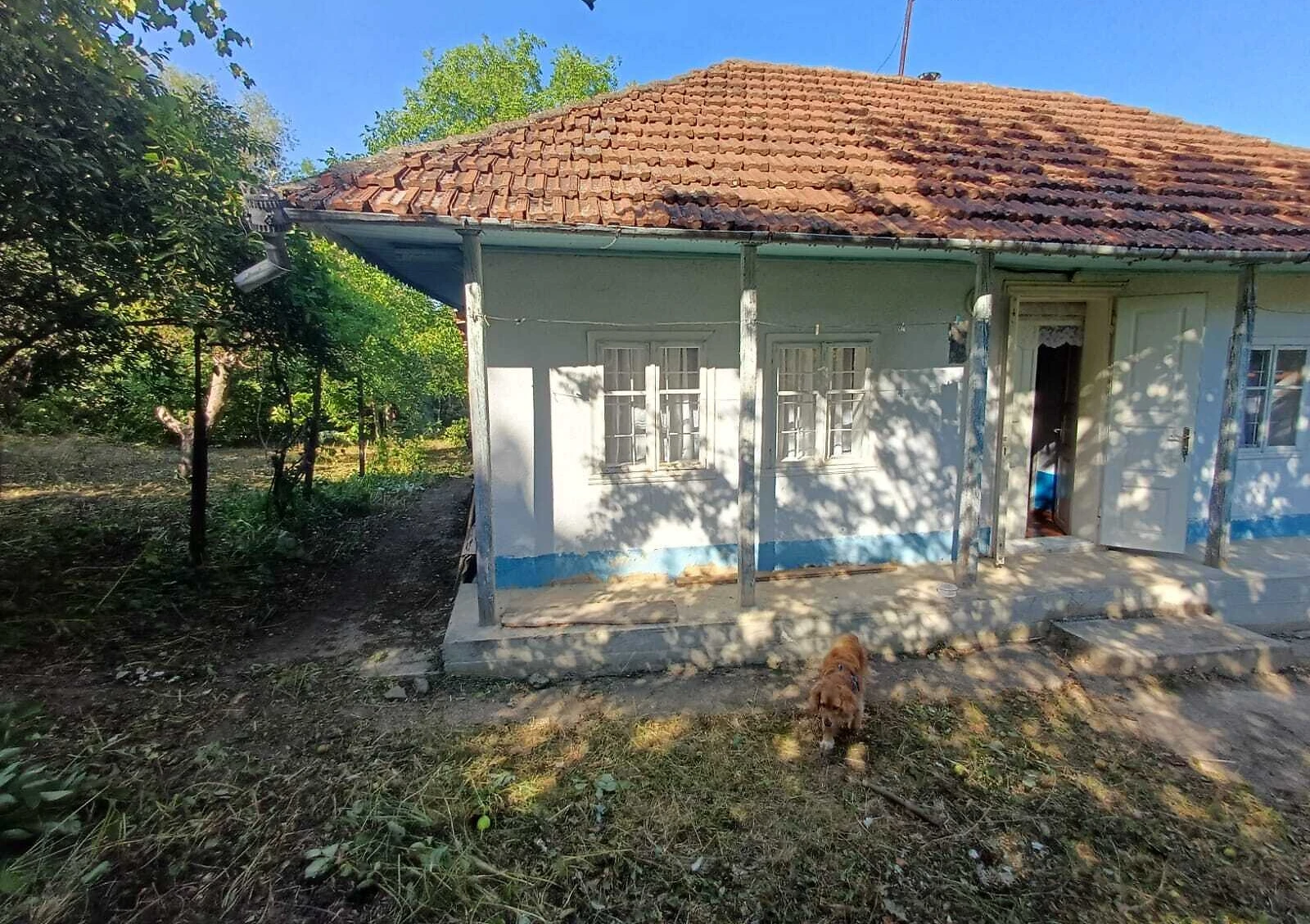 Будинок, Грозинці: 50 соток, криниця, торг можливий - фото 4