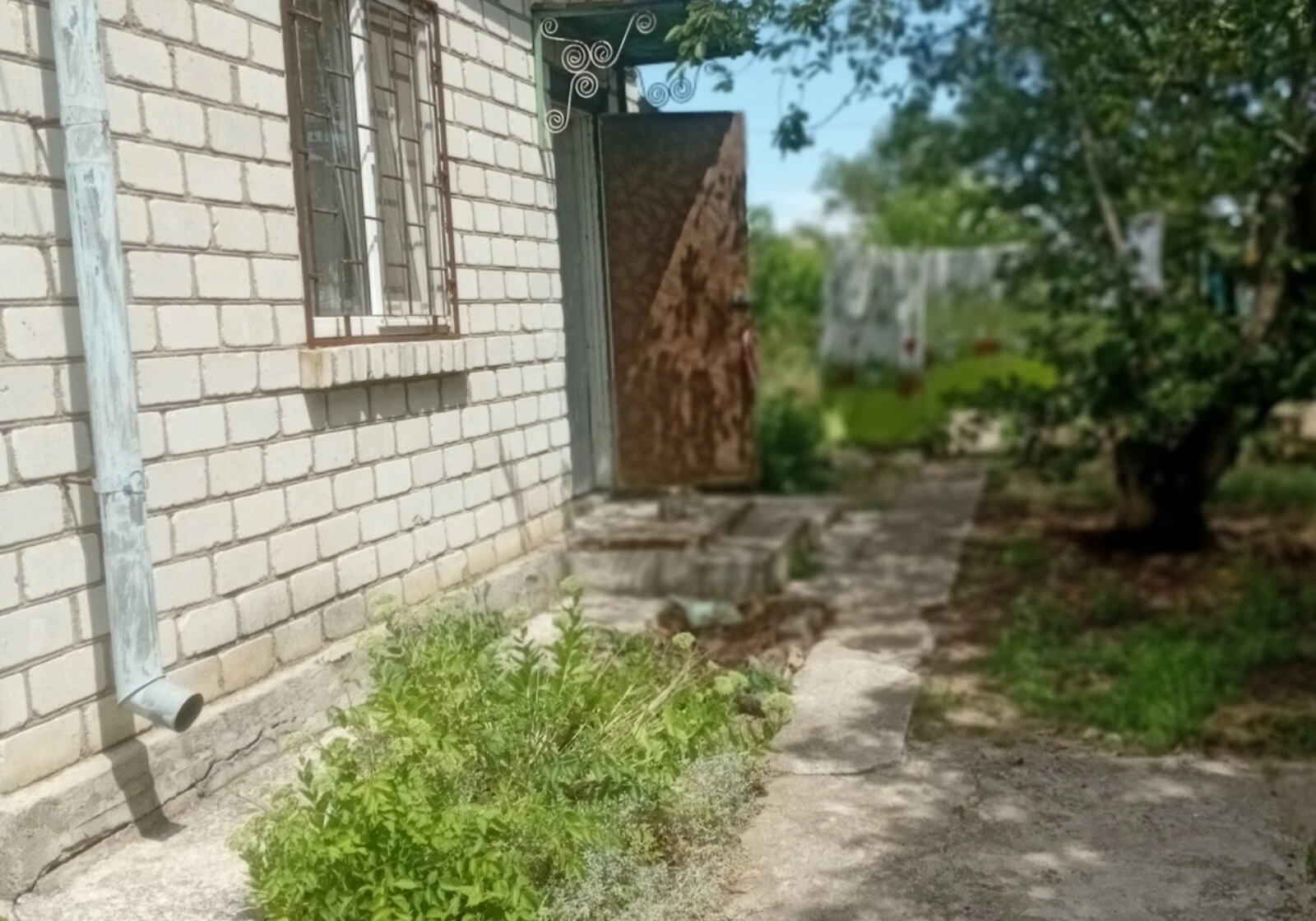 Дача, Стара Богданівка: бесідка, свердловина, сад, фото 3