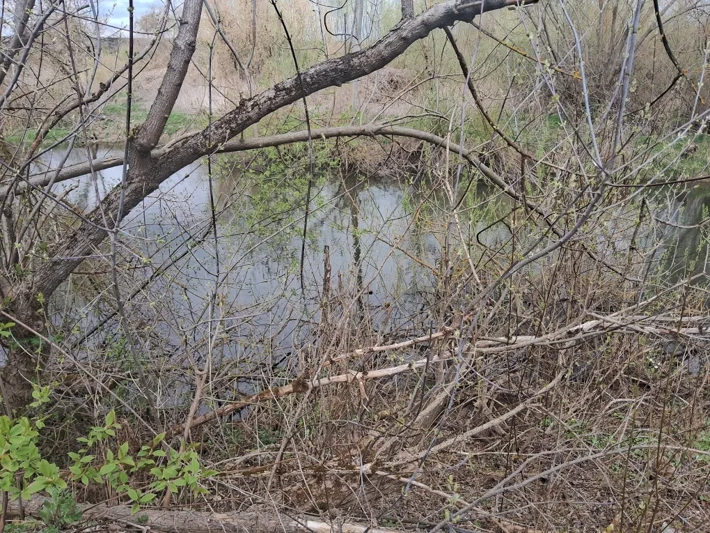 Будівля котельні, Залізці: берег річки Серет, кранбалка - фото 5