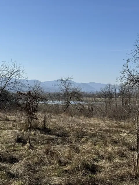 Ділянка 50 соток, Тячів: асфальтована дорога, будинок і туалет - фото 4