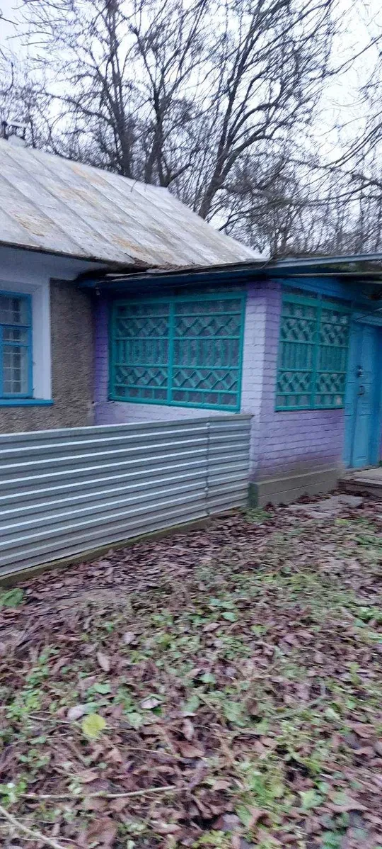 Будинок, Слобідка-Глушковецька: сад, гараж, торг - фото 3