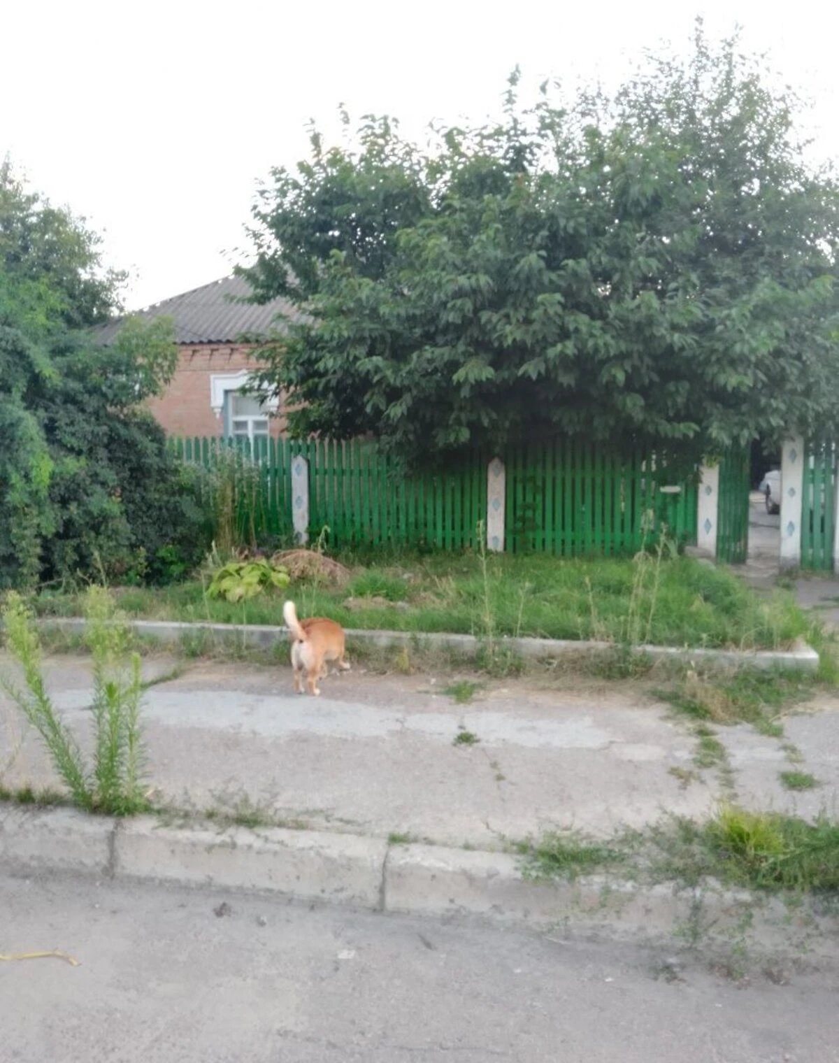 Будинок, Кропивницький: гараж у дворі, цегляні стіни, торг, фото 5