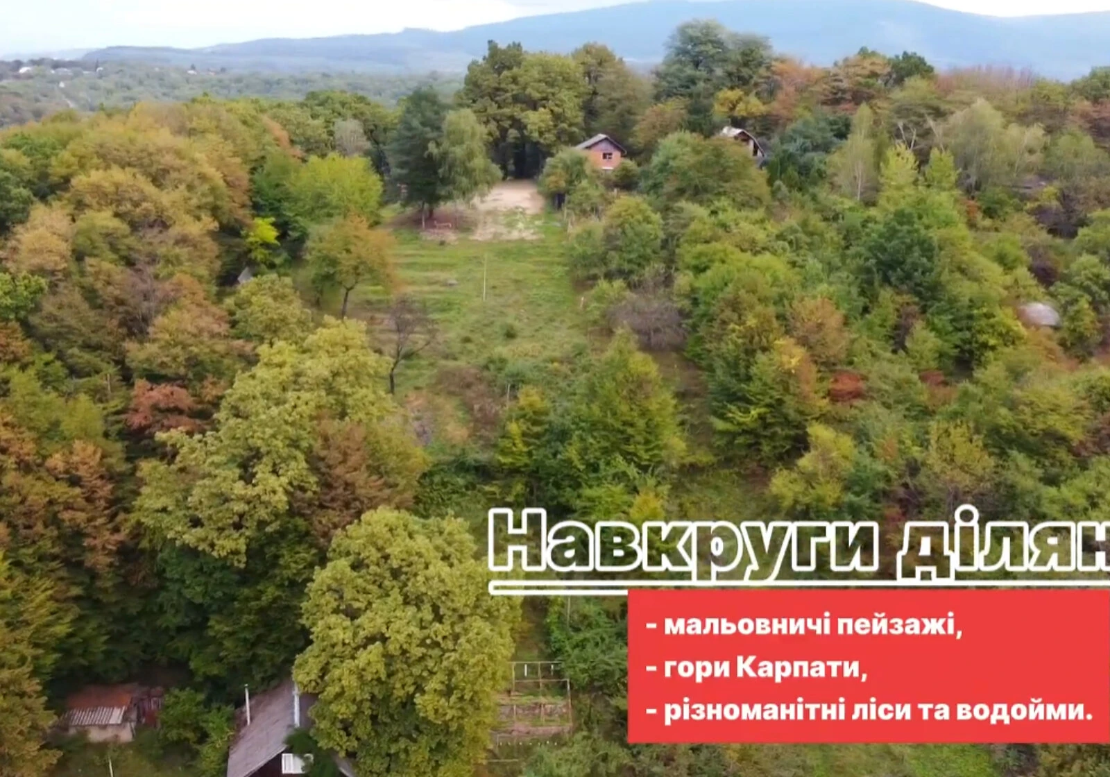 Ділянка 8.6 соток, Оноківці: сад, виноградник, паркан, фото 5