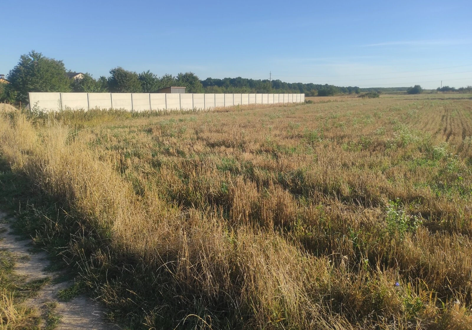 Ділянка 31 соток, Тютьки: житлова забудова, чорнозем, під гараж - фото 5