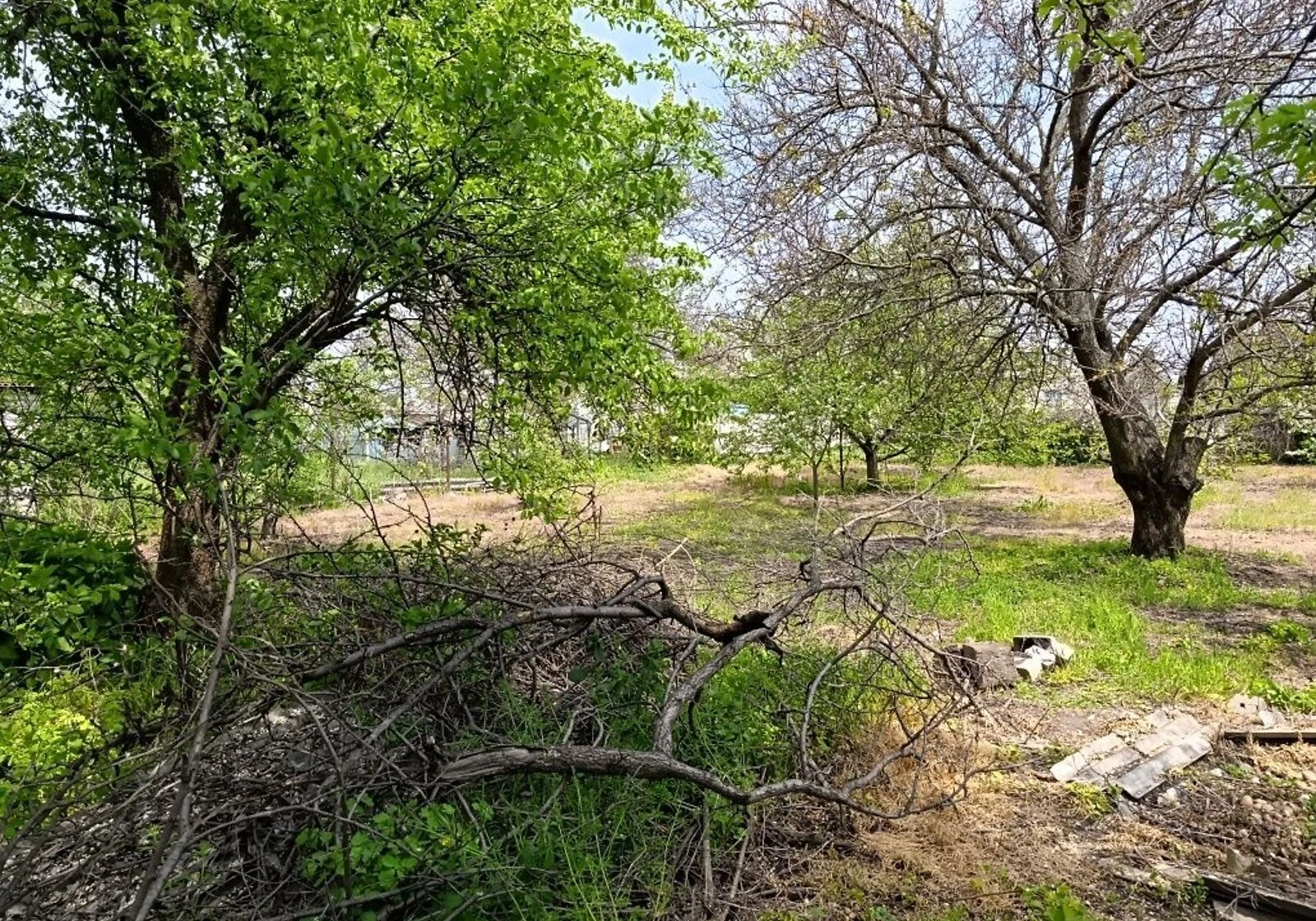 Будинок, Іларіонове: цегляні стіни, фото 3