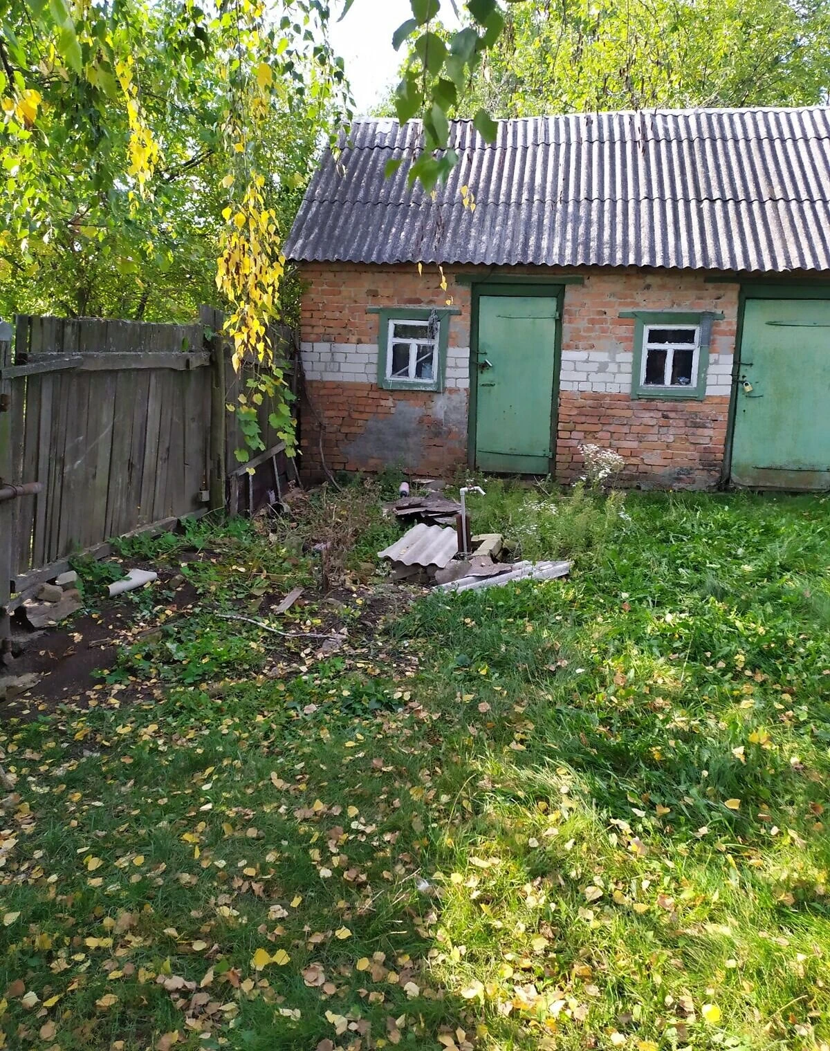 Дом, Сковородиновка: отопление, гараж с подвалом, фото 3