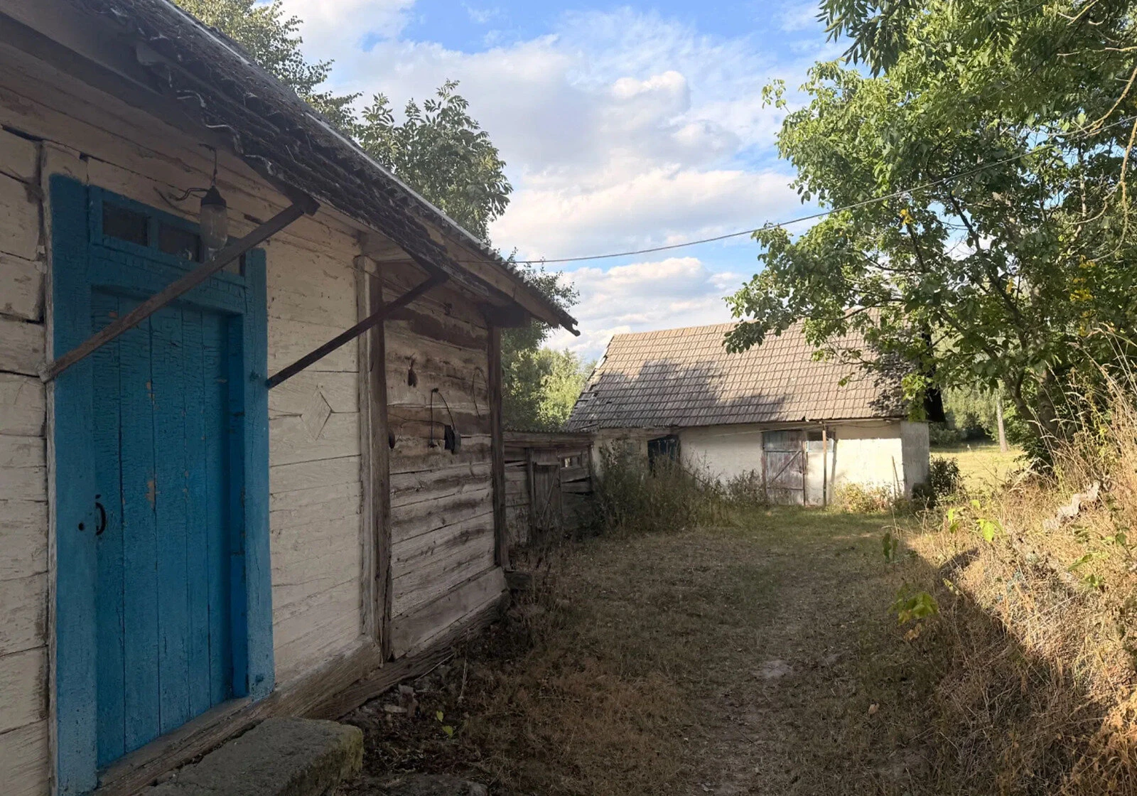 Дача, Плоска: 67 соток, сад і господарські будівлі, фото 2