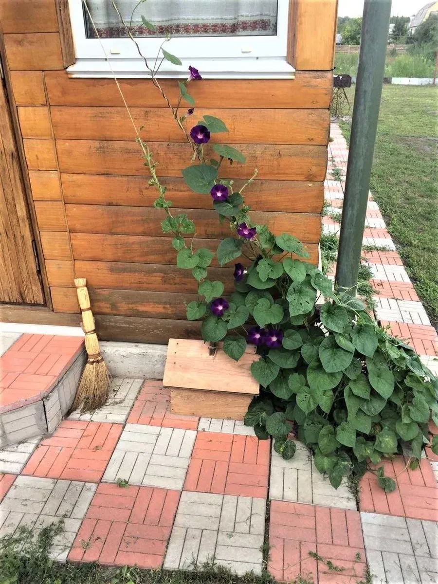 Дача, Лукʼянівка: цілорічна охорона, оптоволоконний інтернет, фото 3