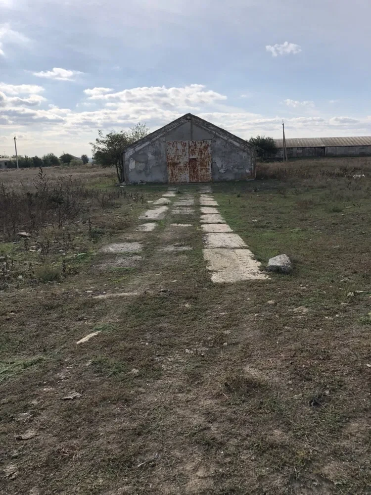 Склад, Краснополье: сухой, под зерно, торг, фото 5