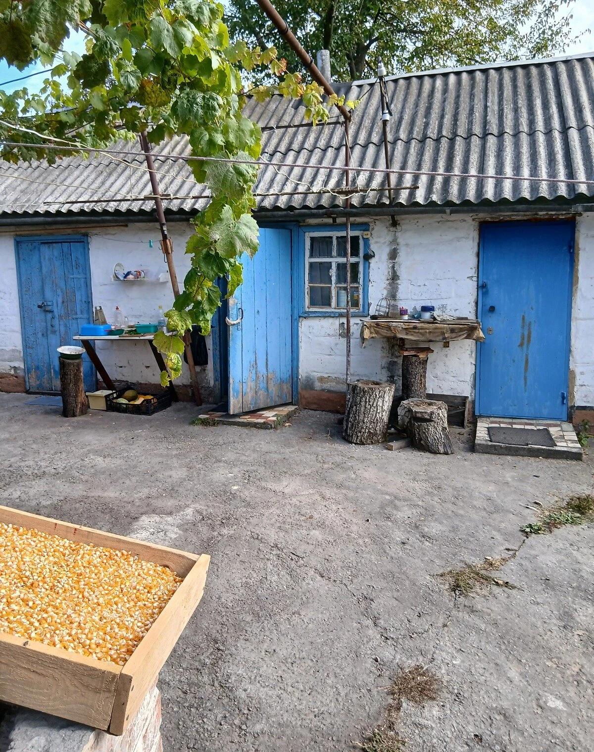 Будинок, Нова Знам’янка: ділянка 23 сотки, дві спальні - фото 4