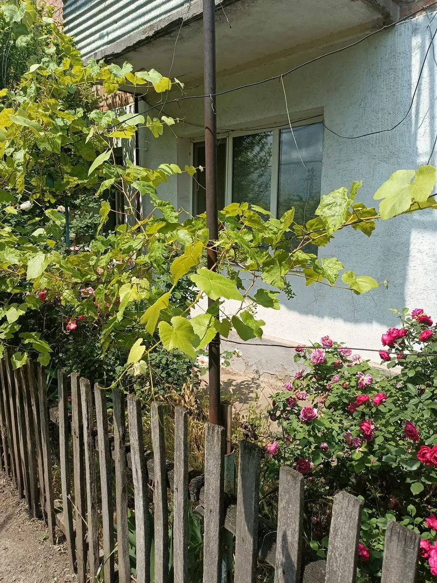 3-кімнатна квартира, Благовіщенське: два гаражі, літня кухня - фото 2