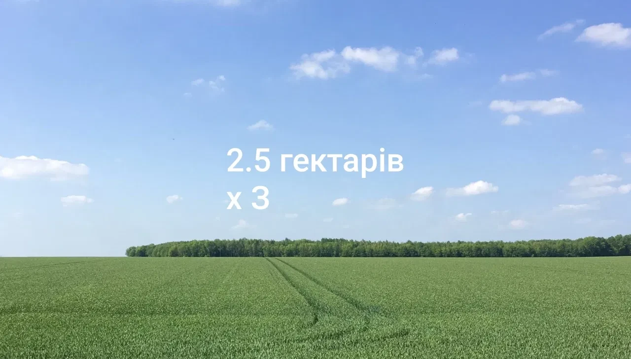 Ділянка 250 соток, Часлівці: до 5 км від Ужгорода, електрика - фото 1
