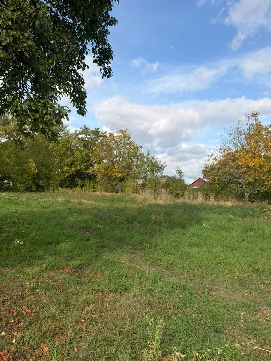 Ділянка 12 соток, Гоща: плодові дерева, друга лінія від Горині - фото 2