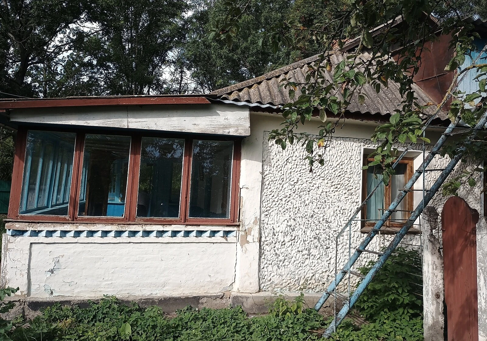 Дача, Вовчок: криниця, літня кухня, сад і город, фото 3