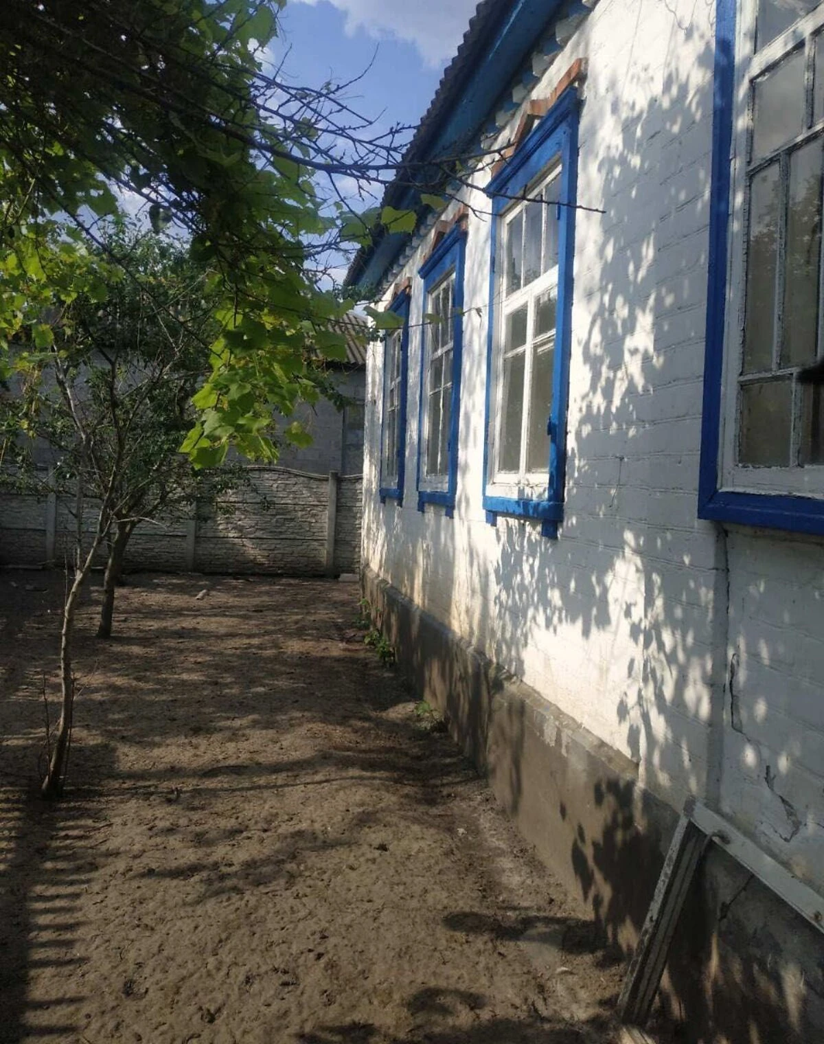Дом, Шелудьковка: гараж с подвалом, сад и огород, фото 4