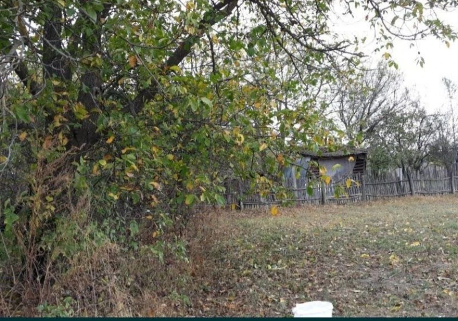 Дача, Борозенка: колодец, гараж с подвалом, фото 2