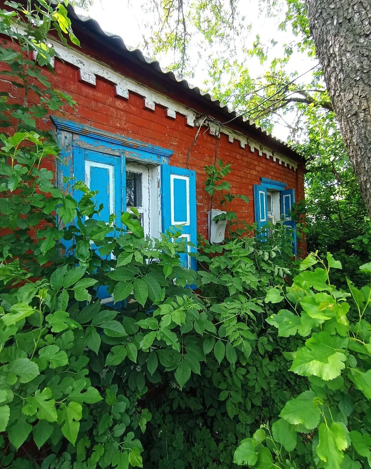 Дом, Старая Гнилица: участок 25 соток, кирпичные стены, фото 3