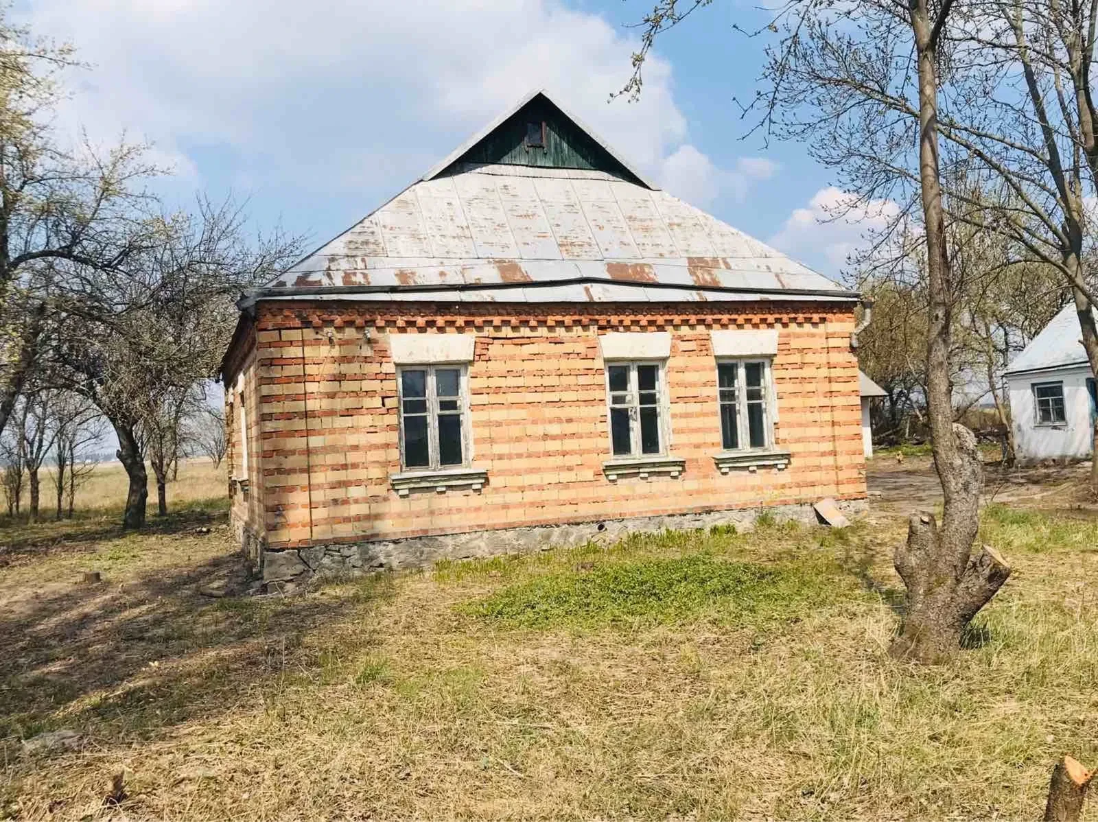Ділянка 25 соток, Ставище: старий цегляний будинок, гараж, фото 2