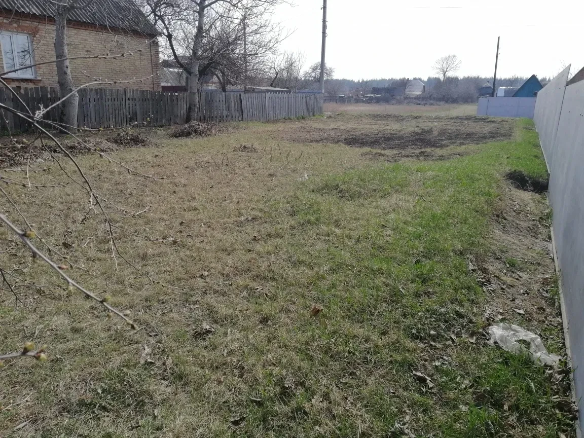Ділянка 11.77 соток, Пісківка: газ та електрика, 5 хв до електрички, фото 4
