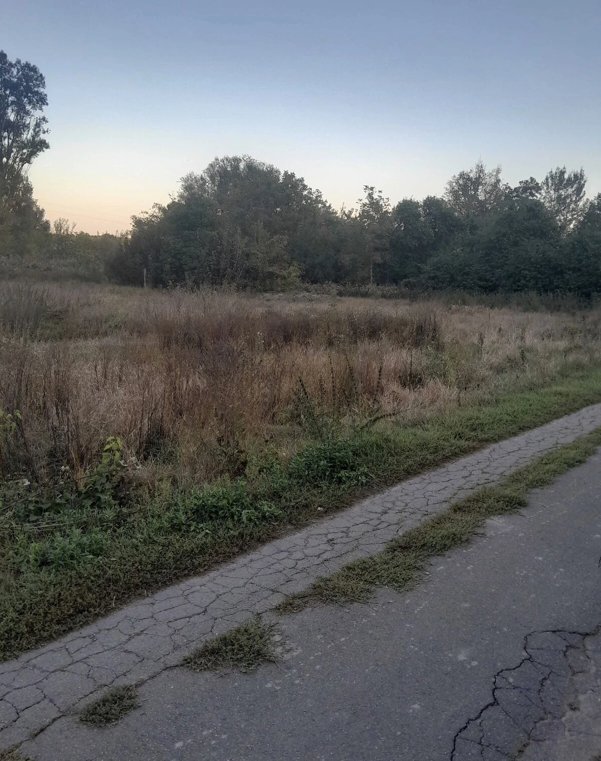 Ділянка 0.2012 сотки, Великі Дмитровичі: чорнозем, свердловина, фото 5