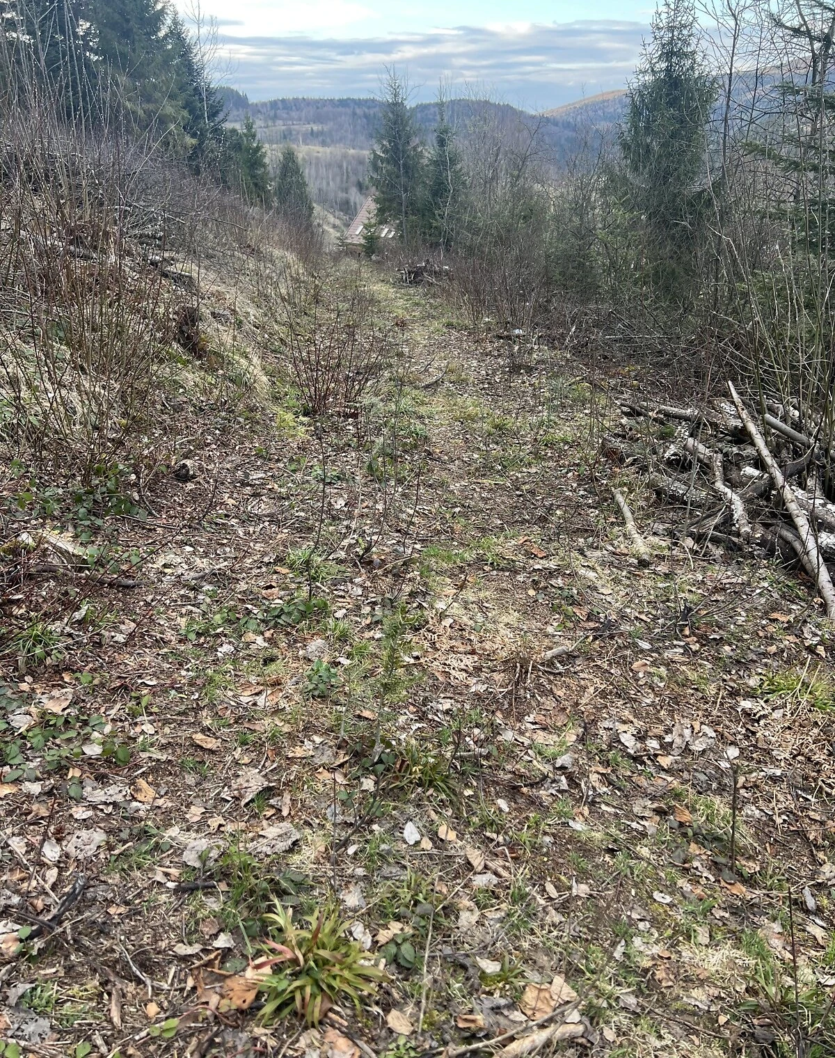 Ділянка 12.5 соток, Кам'янка: сільськогосподарське призначення, торг можливий - фото 1