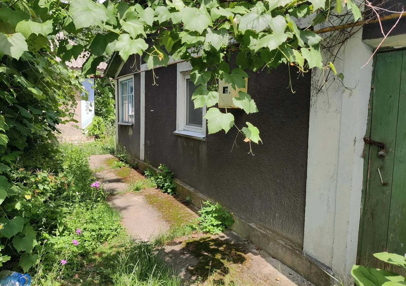 3-комнатный дом, Глушковцы: сад, летняя кухня, фото 3