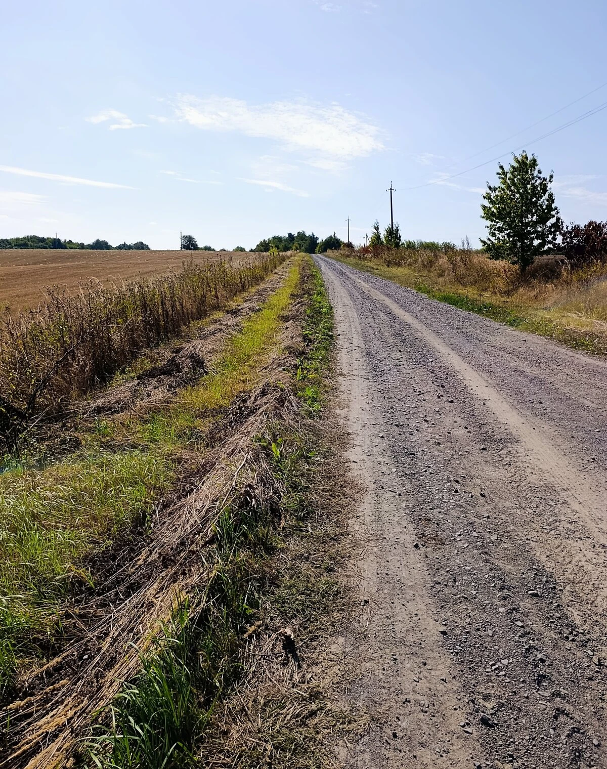 Ділянка 12 соток, Стуфчинці: під житлову забудову, електрика, фото 3