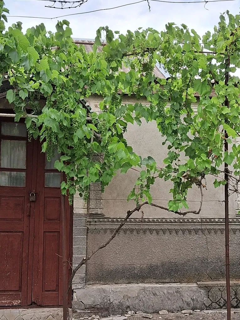 Дом, Кривая Балка: частичный ремонт, 25 соток, фото 4