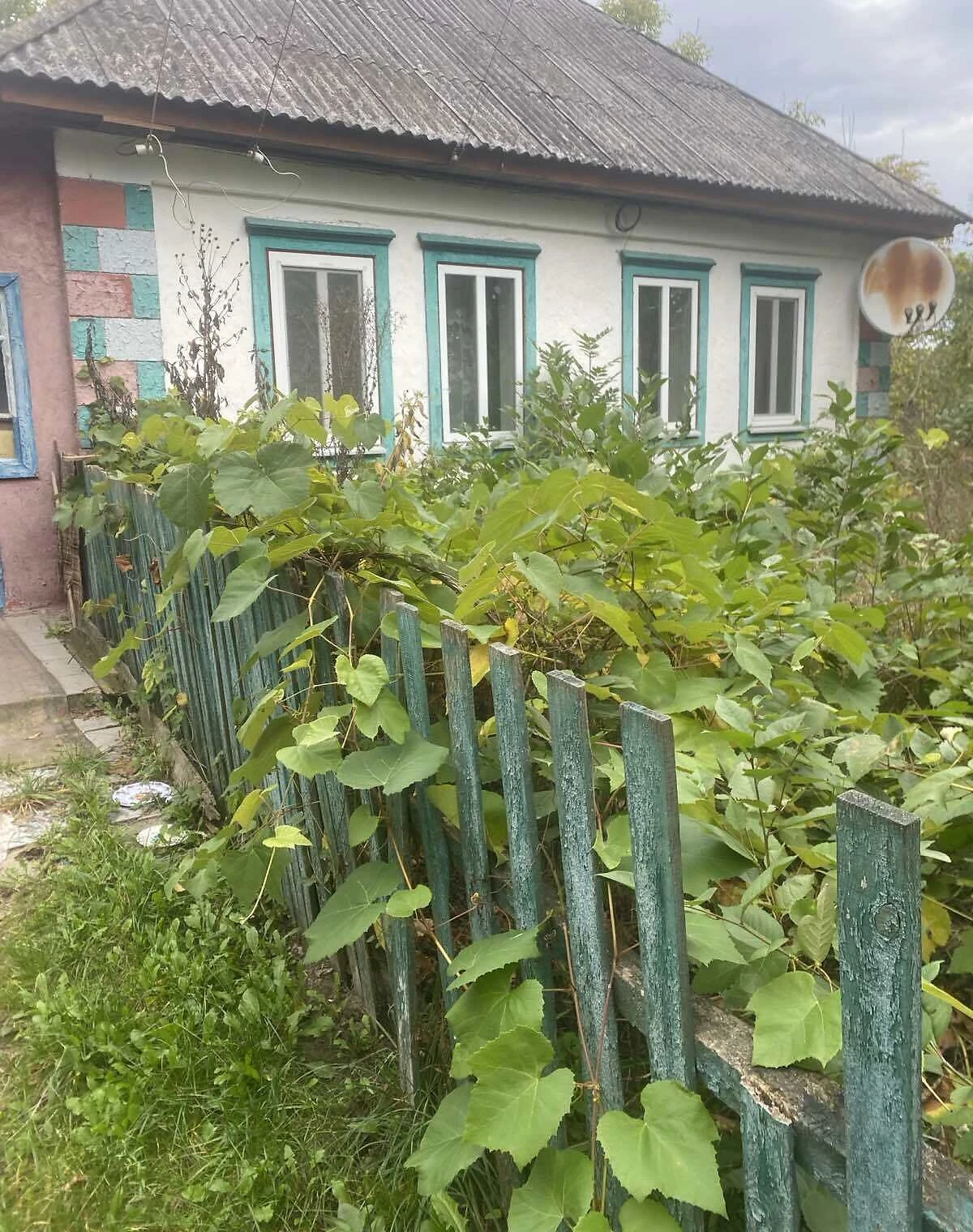 Дом, Великая Фосня: 48 соток, возможен торг, фото 4