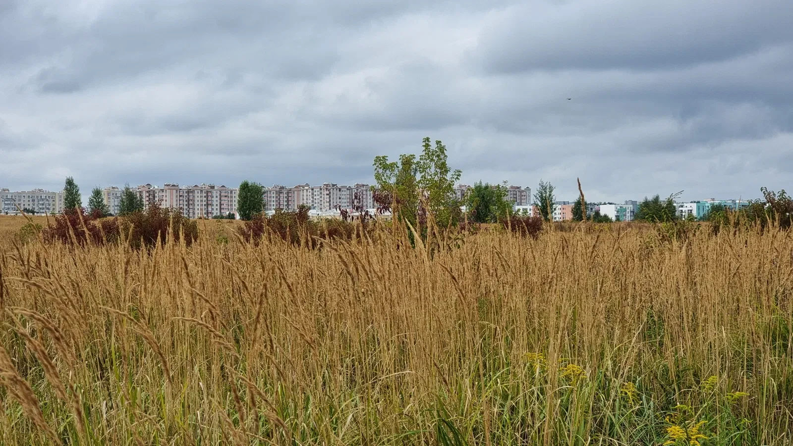 Участок 7 соток, Софиевская Борщаговка: 18 на 40 м, перспектива застройки