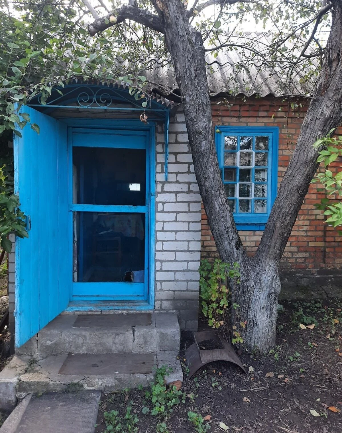 Будинок, Петрове: веранда, 31 сотка, літня кухня - фото 2