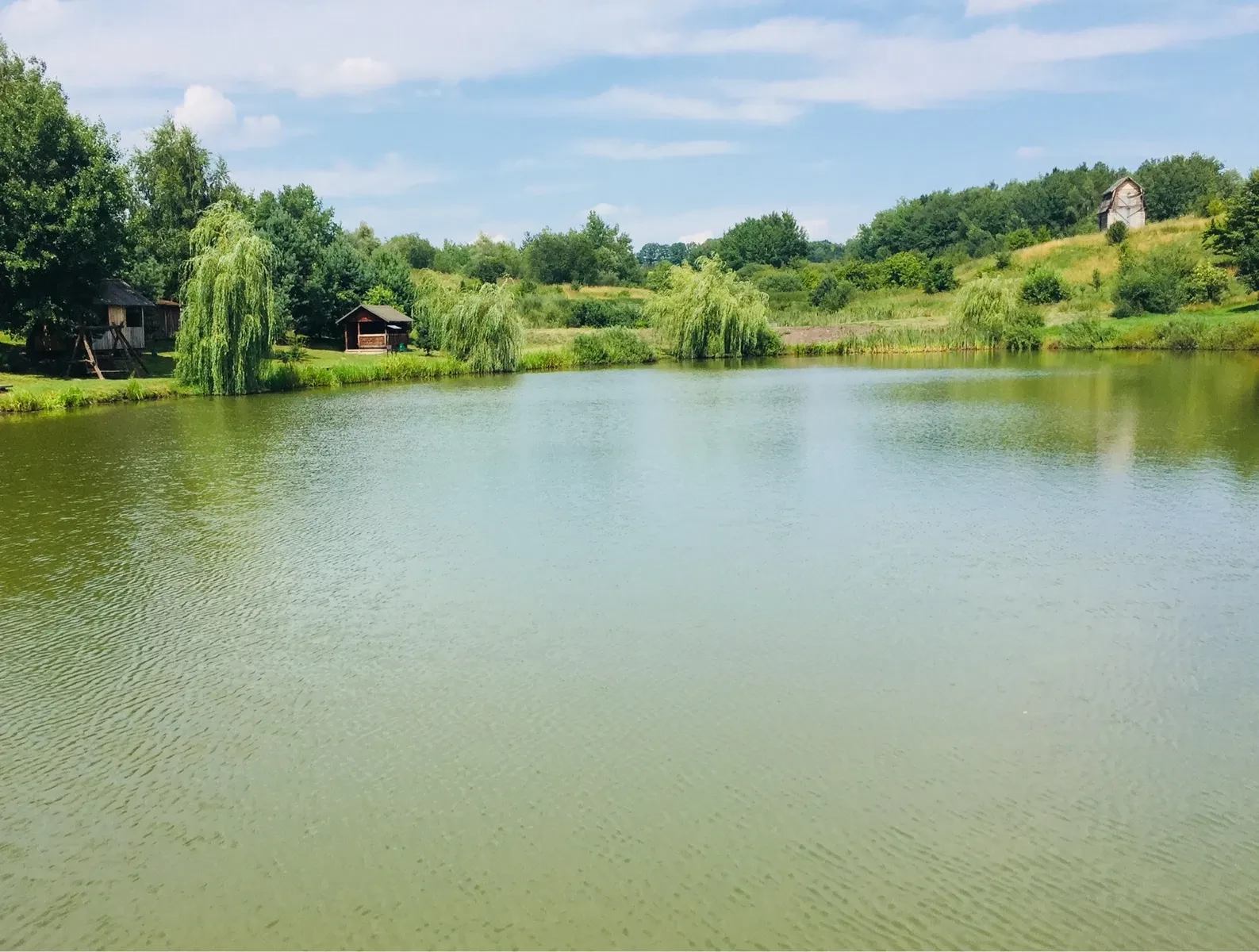 Ділянка 500 соток, Трускавець: зариблені озера, альтанки, фото 5